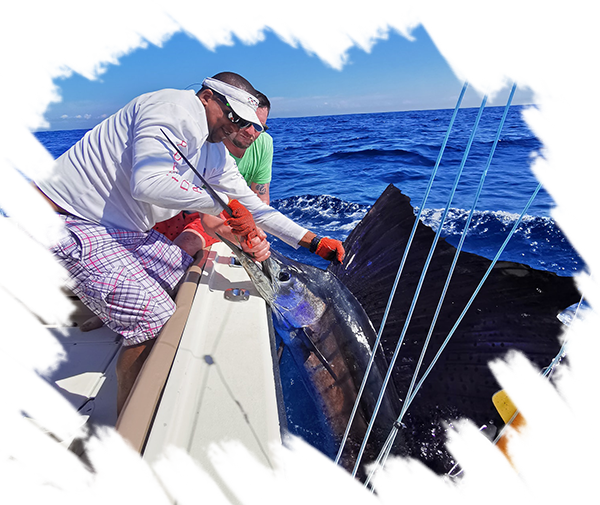 Sport Fishing